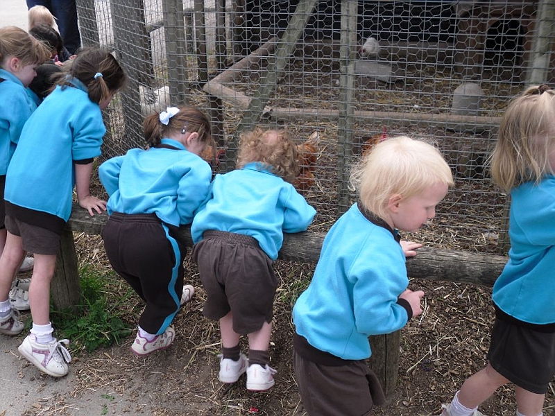 chicks21 047.jpg